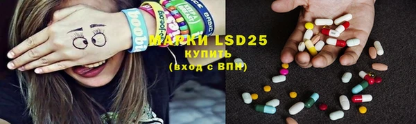 PSILOCYBIN Вяземский