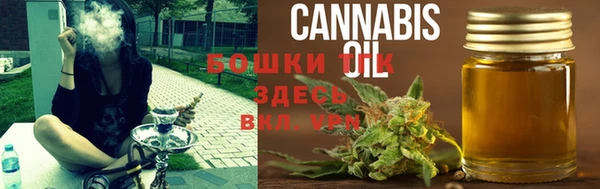 мяу мяу мука Вязьма
