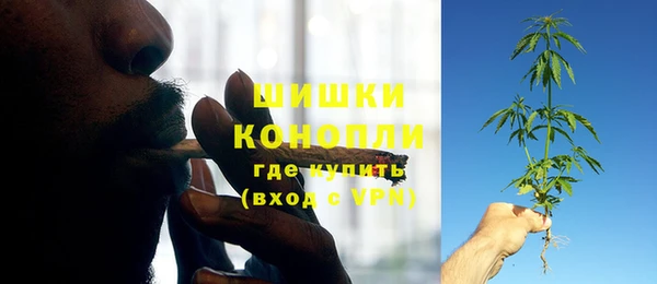 ешки Горняк