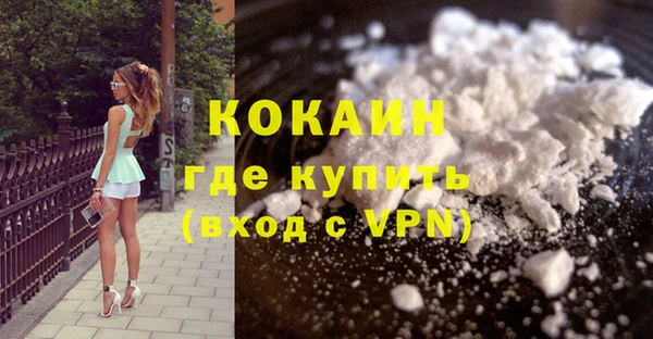 PSILOCYBIN Вяземский