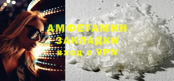 PSILOCYBIN Вяземский