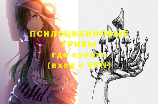 ECSTASY Горнозаводск