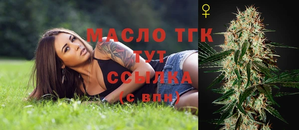 молекула духа Горно-Алтайск