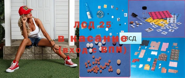 PSILOCYBIN Вяземский